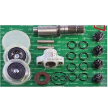 ZESTAW NAPRAWCZY POMPY P-100 [OPP02-0016]