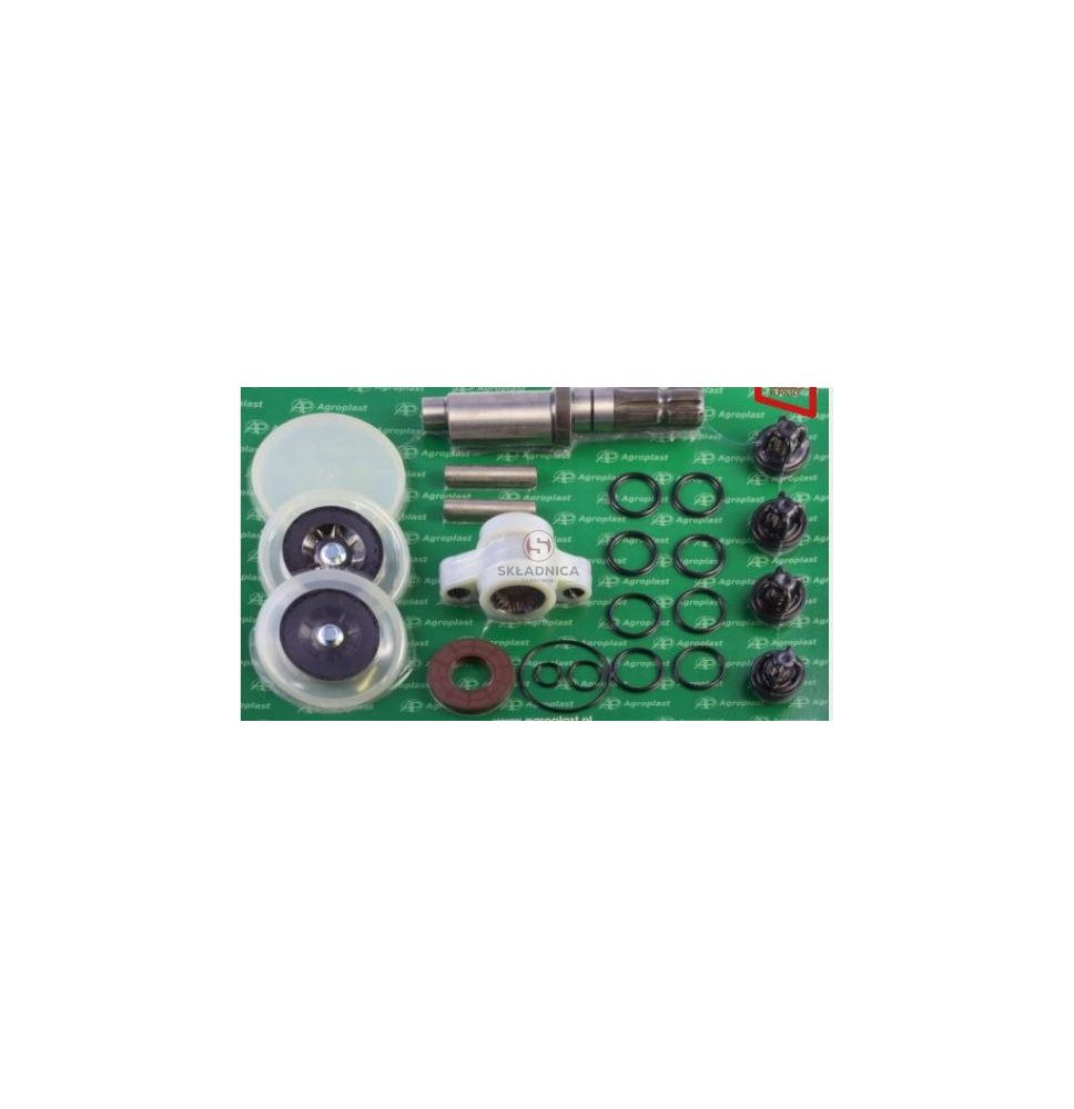 ZESTAW NAPRAWCZY POMPY P-100 [OPP02-0016]