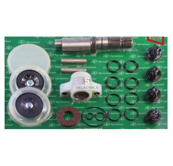 ZESTAW NAPRAWCZY POMPY P-100 [OPP02-0016]