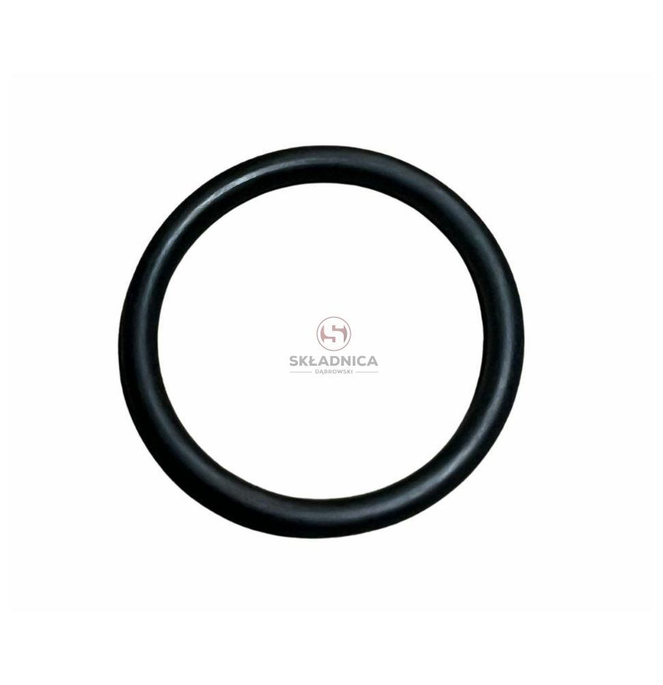 ORING   31.34 * 3.53 [OPP06-0404]