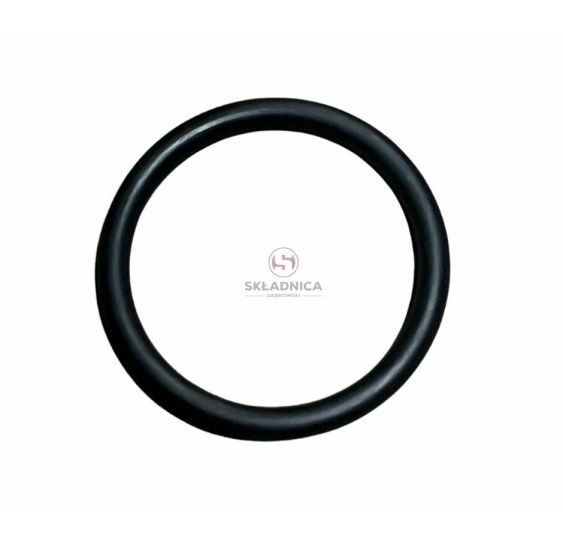 ORING   31.34 * 3.53 [OPP06-0404]