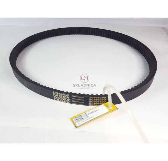 PAS TAGEX 80388280 [PK16157-T]