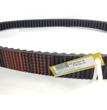 60-2542 LZ   PAS KLINOWY CASE [PK254251-R]