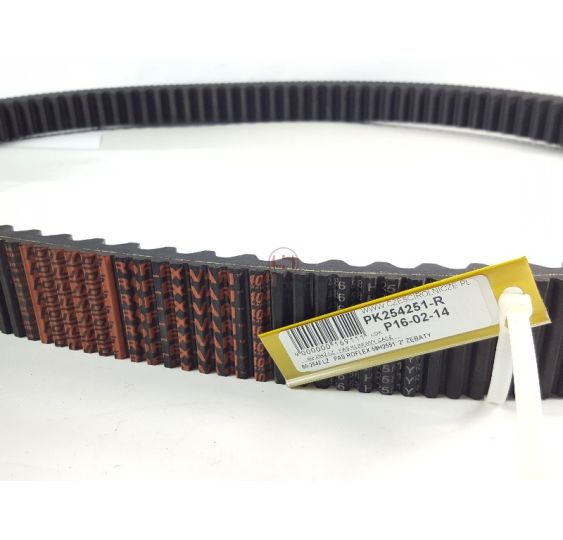 60-2542 LZ   PAS KLINOWY CASE [PK254251-R]