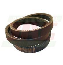 PAS HARVEST FO4250121005 [PK286541-R]