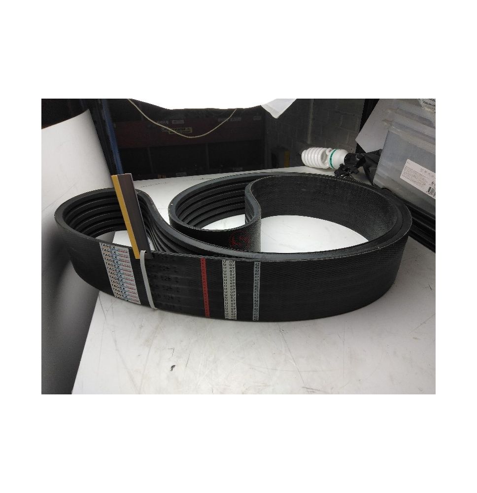 PAS TAGEX 629539 [PK352029-T]