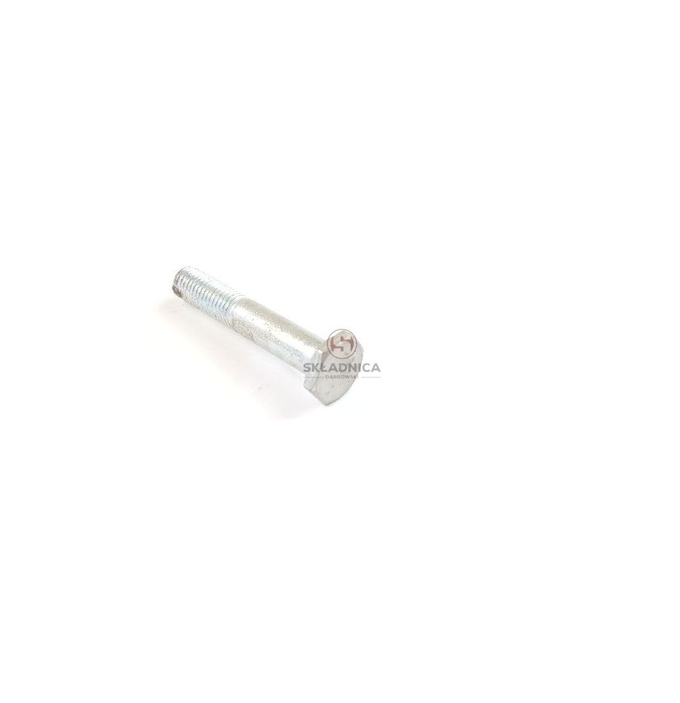 ŚRUBA SPECJALNA [PR011028]