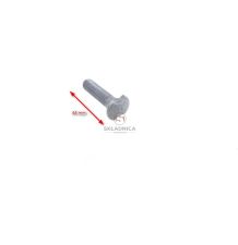 ŚRUBA ŁAŃCUCHA 11*31  M10* 45 + NAKRĘTKA [ROA073]
