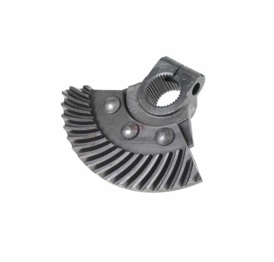 WYCINEK ZĘBATY Z PIASTĄ [UC330021]