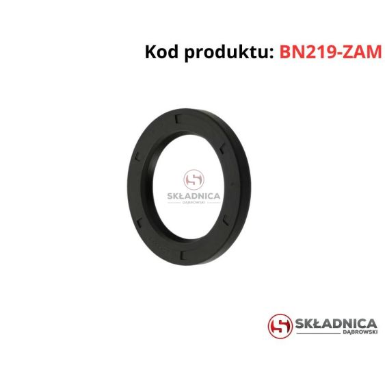 SIMMERING   27.00 * 41.00*10.00 [BN219-ZAM]
