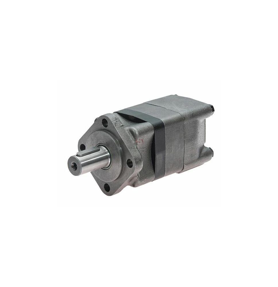 SILNIK HYD. 250  FI-32  SMS250 [HA249]