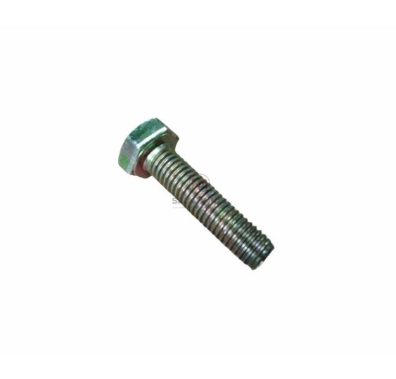 M10* 40             MAGNETSCREWE SCH [KCS019]