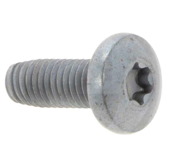 SCREW H201027 [KCS074]