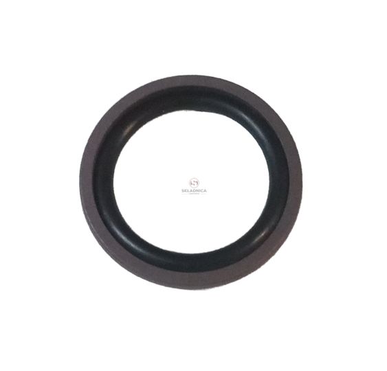 PIERŚCIEŃ 29.00*40.00*4.20 KD+OR [KCJ020]