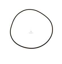 ORING - L40273 [WYP-00046]