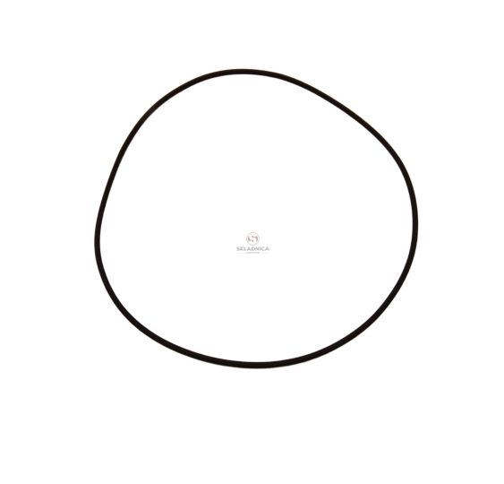 ORING - L40273 [WYP-00046]