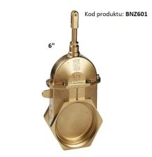 BRASS HYDRAULIC GATE VALVE 6" THREAD M165 / GW [BNZ601]