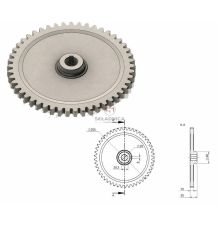 Roue dentée cylindrique [KZ031011]