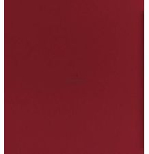 Peinture cerise [FA404]