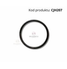 O-RING 31.00 * 2.50 [CJH207]