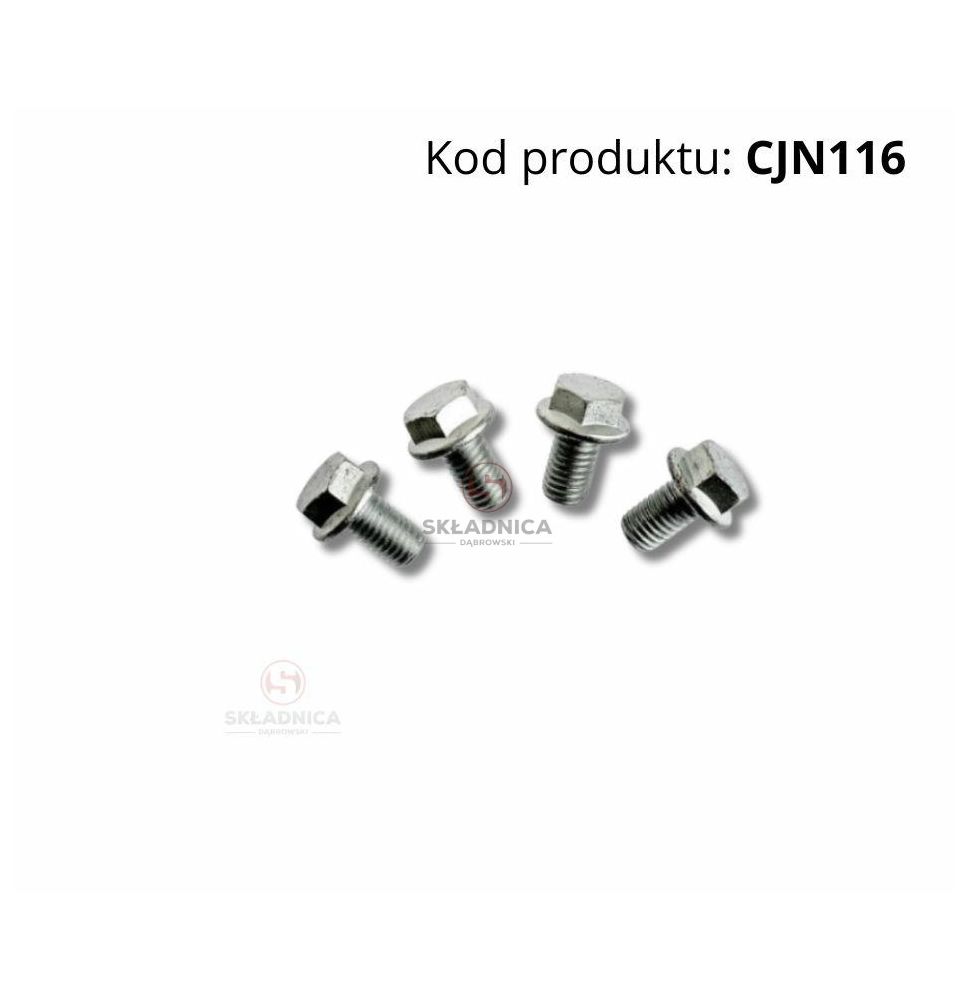 Vis M12x20 cl. 10.9 avec rondelle [CJN116]
