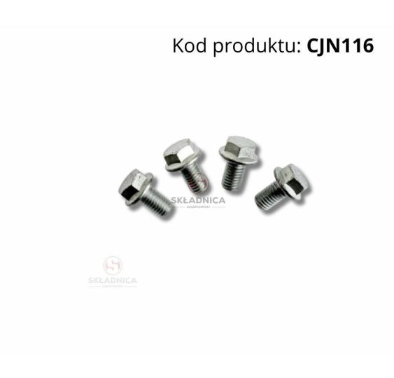 Vis M12x20 cl. 10.9 avec rondelle [CJN116]