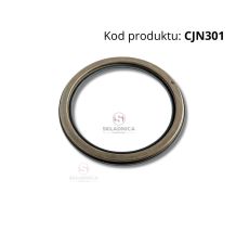 Piston 230*292 [CJN301]