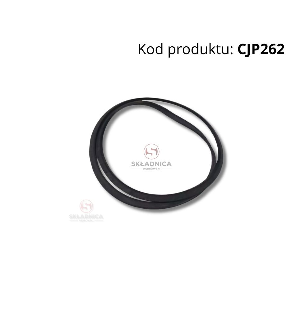 EXTERNAL PISTON SEAL [CJP262]