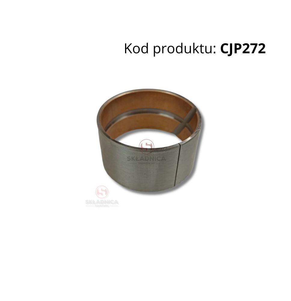 Manica [CJP272]