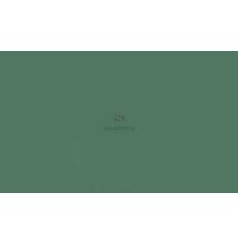 FARBA MAN ZIELONY 1L [A020439]