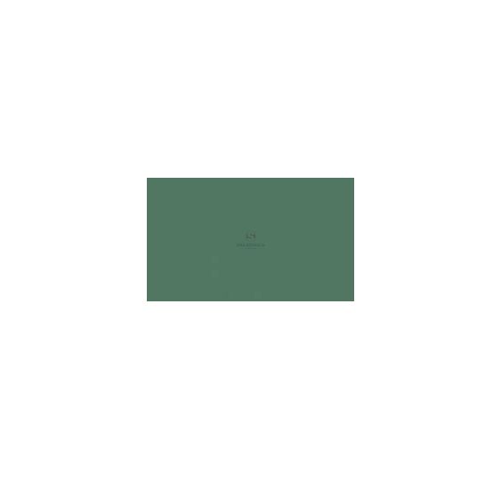 FARBA MAN ZIELONY 1L [A020439]