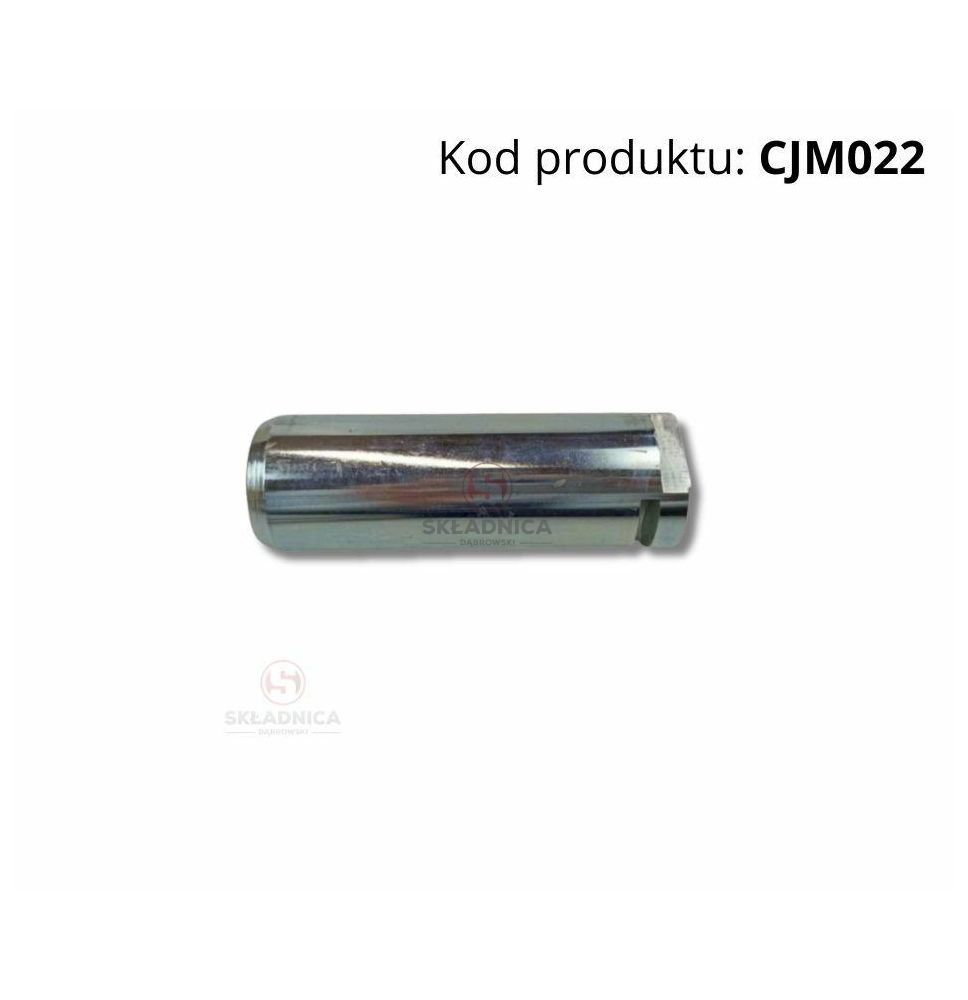 SWORZEŃ FI-35 L-130 [CJM022]