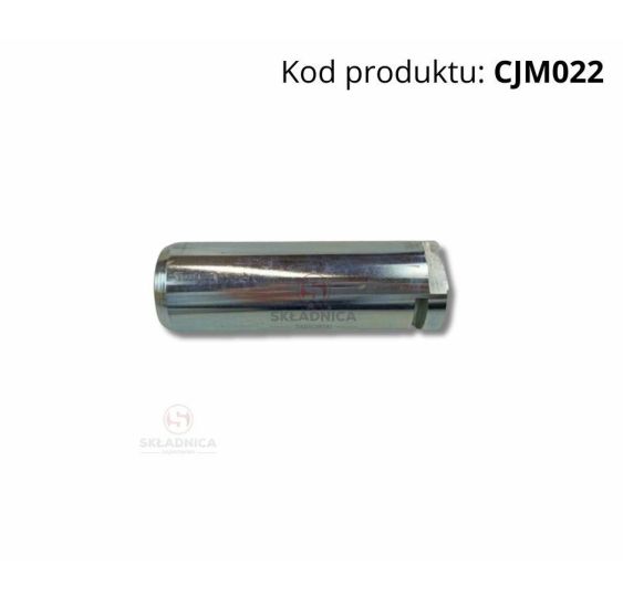 SWORZEŃ FI-35 L-130 [CJM022]