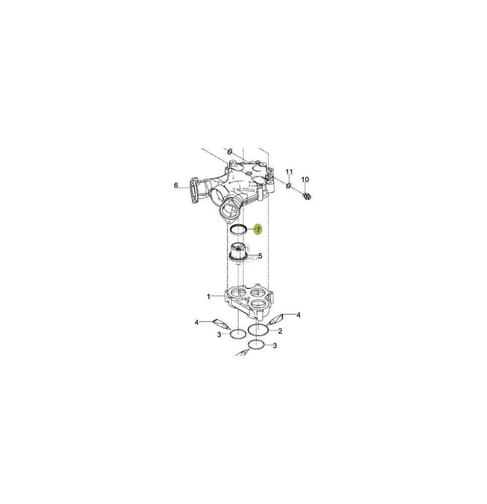 USZCZELKA TERMOSTATU [CXB564-U]