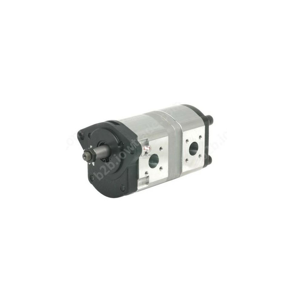 POMPA ALHP2/2-A8-14/8,2T13-P12/P12-F-06 [HP17-133-A]