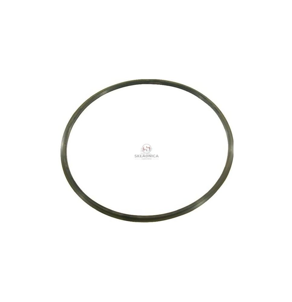 ORING 123,9*5,33  ARAG [OPX01-0008]