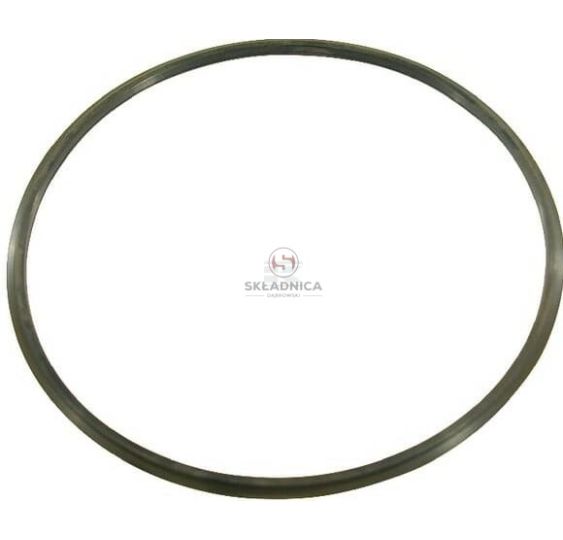ORING 123,9*5,33  ARAG [OPX01-0008]