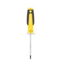 WKRĘTAK TORX Z OTWOREM T20*100MM PROF [YP10192]