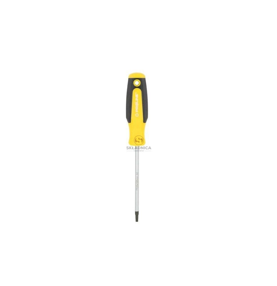 WKRĘTAK TORX Z OTWOREM T20*100MM PROF [YP10192]
