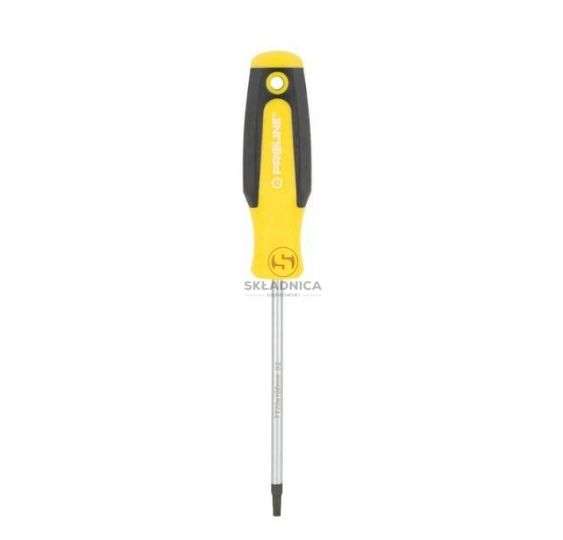 WKRĘTAK TORX Z OTWOREM T20*100MM PROF [YP10192]