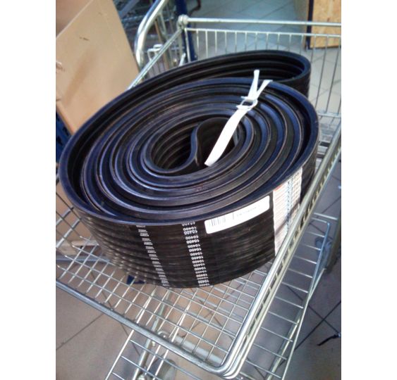 8B-10400 CINGHIA TAGEX [PK104008-T]