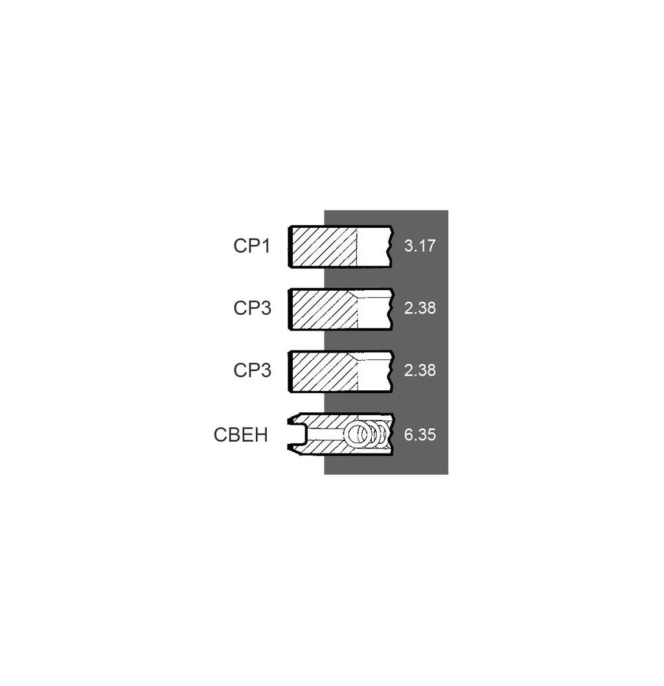 KPL. PIERŚCIENI TŁOK.  98,48   3P - [CXP029]