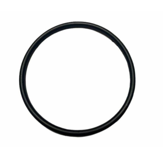 ORING   49.20 * 2.4 - [CCN179]